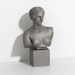 Sophia - Venus Bust Medium Metallic. Frost