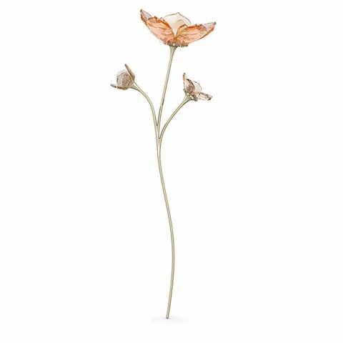 Swarovski Crystal Swarovski - Garden Tales Magnolia Flower