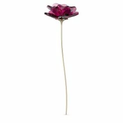 Swarovski Crystal Swarovski - Garden Tales Single Rose