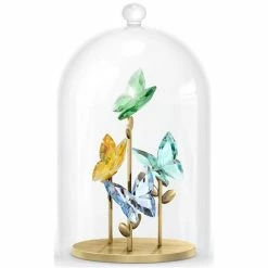 Swarovski Crystal Swarovski - Jungle Beats Butterfly Bell Jar